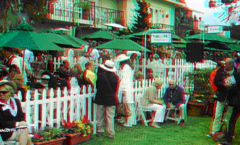3D Color Anaglyph View