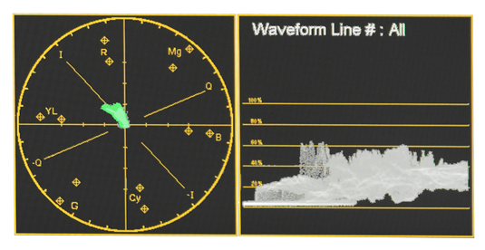 Built-in Waveform and Vectorscope allow for real-time white and black level clip monitoring and color gamut range displays, both supported in resolutions all the way up to 4K
